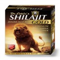 SHILAJIT GOLD