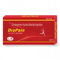 DroPain